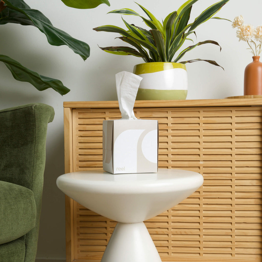 Reel Bamboo Facial Tissues