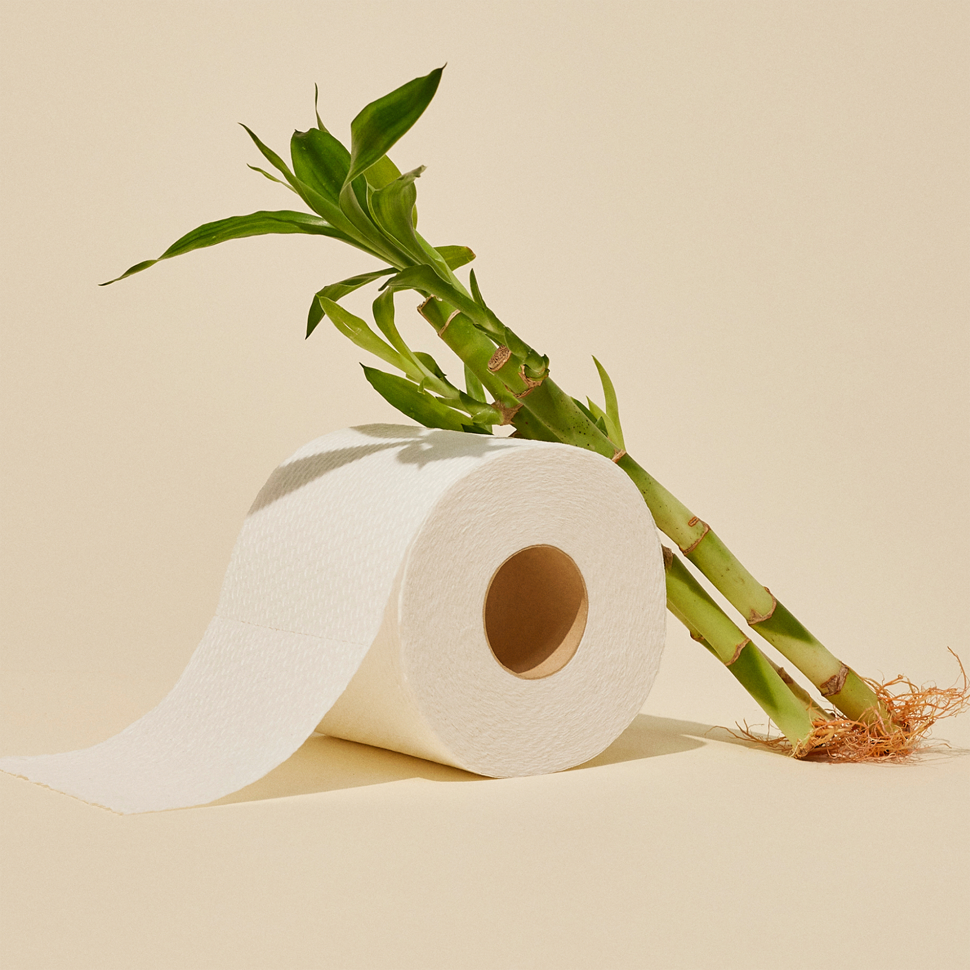 Reel Bamboo Toilet Paper (48-ct)